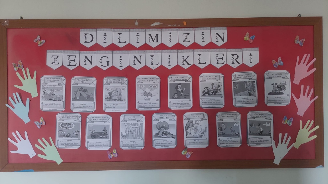 Dilimizin Zenginlikleri Projesi